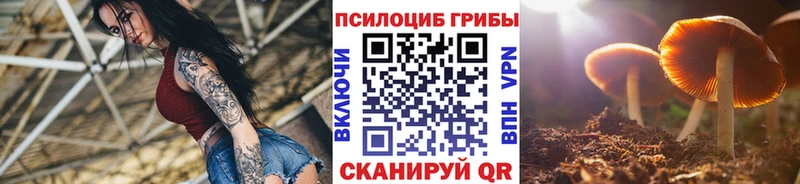 цена   Кизел  Псилоцибиновые грибы мухоморы 
